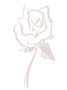 Elemente Emily in Paris